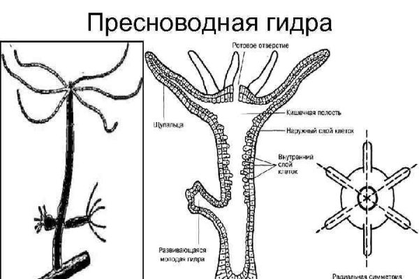 Кракен маркетплейс 2025