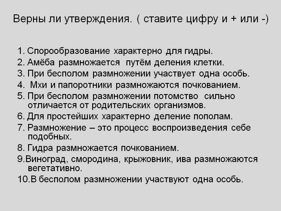 Кракен сайт ссылка тор браузере